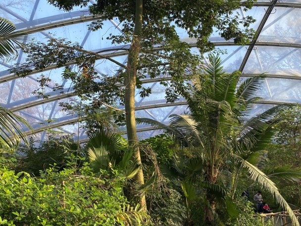 Bijzondere aanpassing aan de leefomgeving