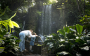 Burgers' Zoo prolongeert twee Michelinsterren