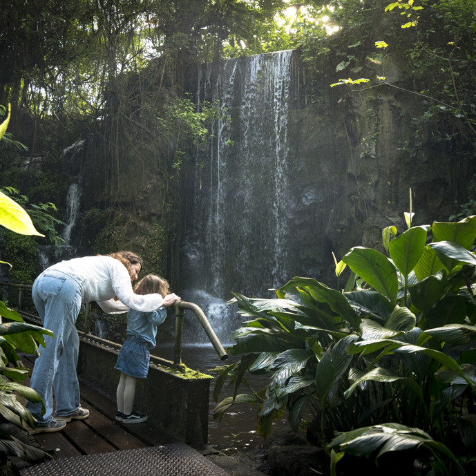 Burgers' Zoo prolongeert twee Michelinsterren