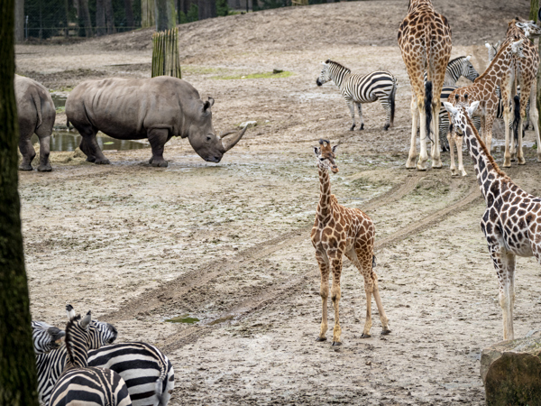 eb94b520-4c6a-43cb-8e30-7fcea79d04d9