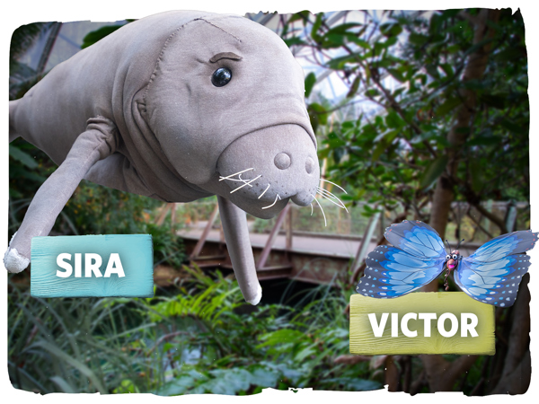 18db2517-530d-4820-8074-d2649ccc522f