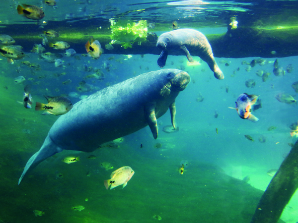 69250474-53e8-4ad8-8838-db9fc371f1ca