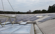 Zonnepanelen maken Burgers’ Zoo nog duurzamer