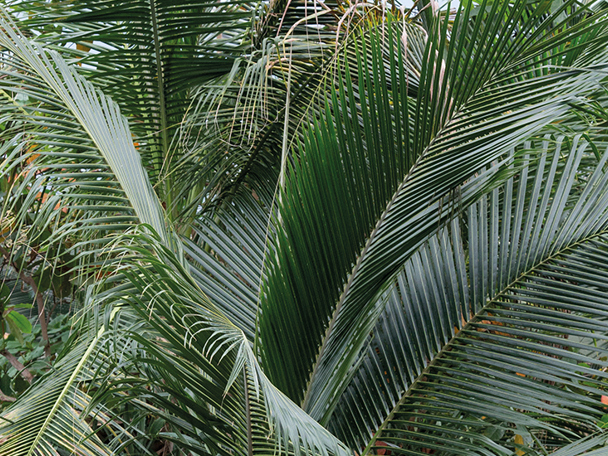 Bijzondere aanpassing aan de leefomgeving