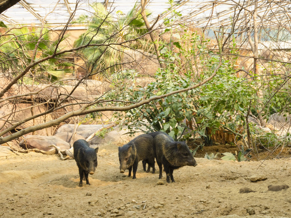 62455d26-ed80-45f1-8e60-bab09c65b89f