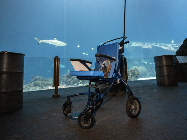 Heuvelachtig landschap