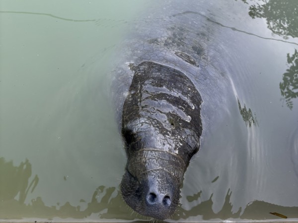 8fc714e1-8e78-4460-afcf-7adbbab10c69