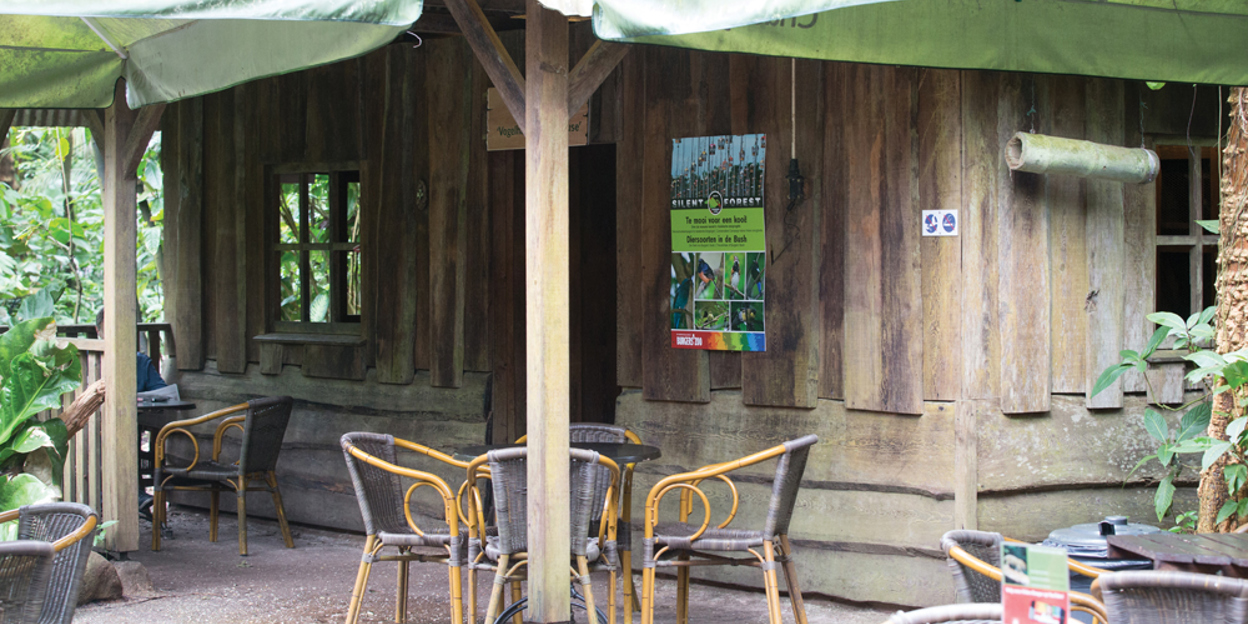 Silent Forest Campaign – Focus op vogels