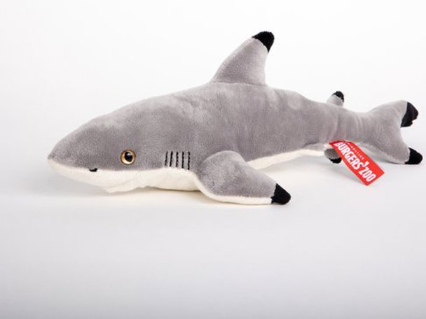 Knuffel zwartpuntrifhaai