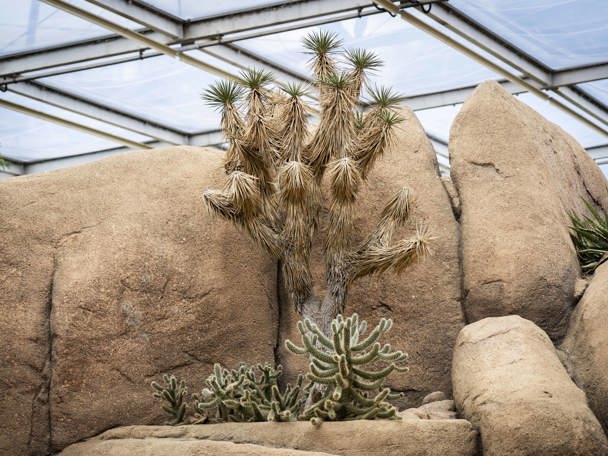 Bijzondere aanpassingen en leefomgeving