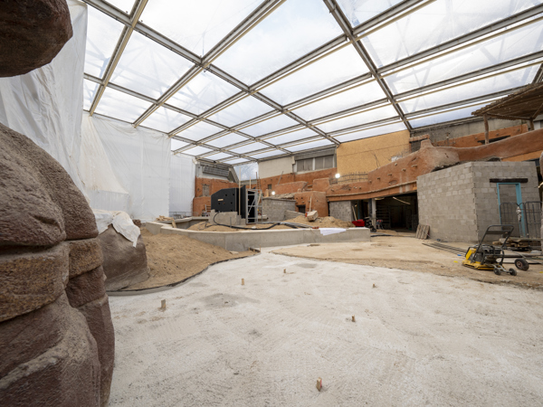 d317de11-f1c9-480c-9f7d-adafbf0c3ef7