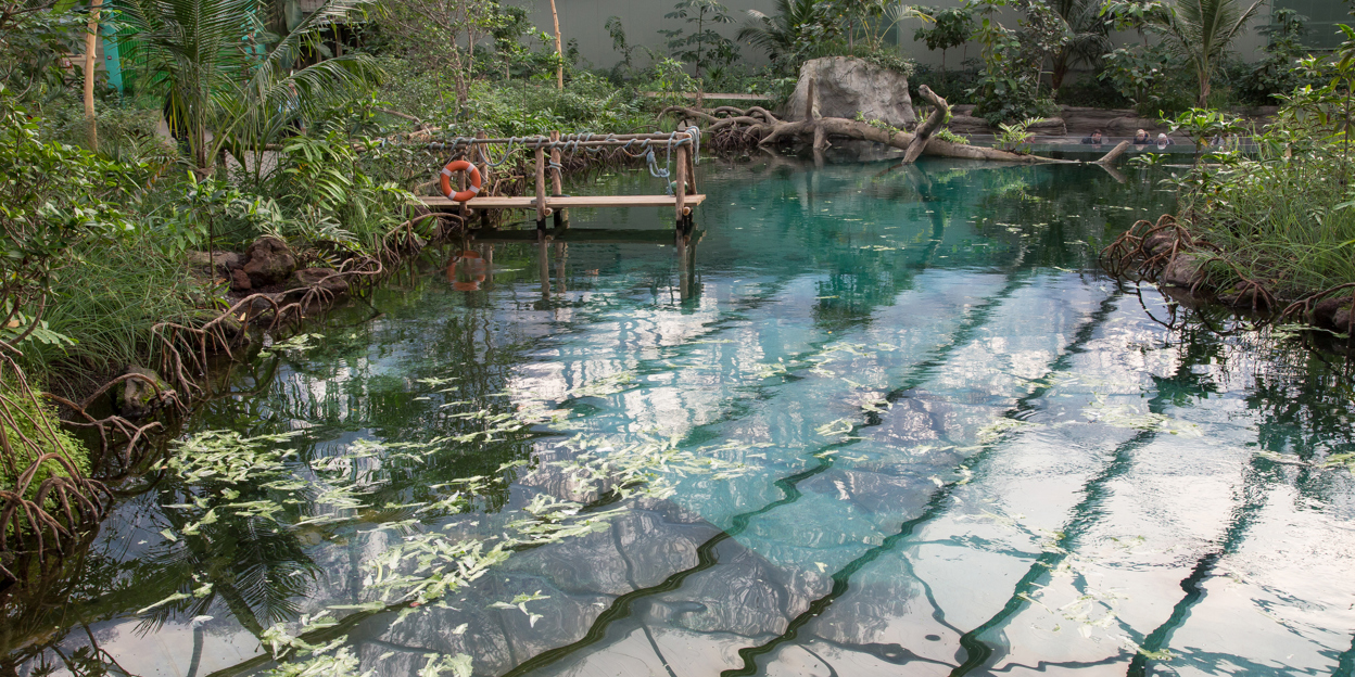 Burgers’ Mangrove: een ecodisplay volop in ontwikkeling