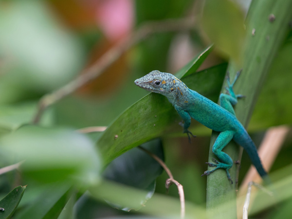 00dd4407-d77e-4b8b-9518-8542bec17de0