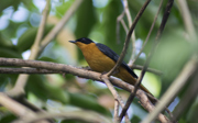 Duurzaamheid in de dierentuin