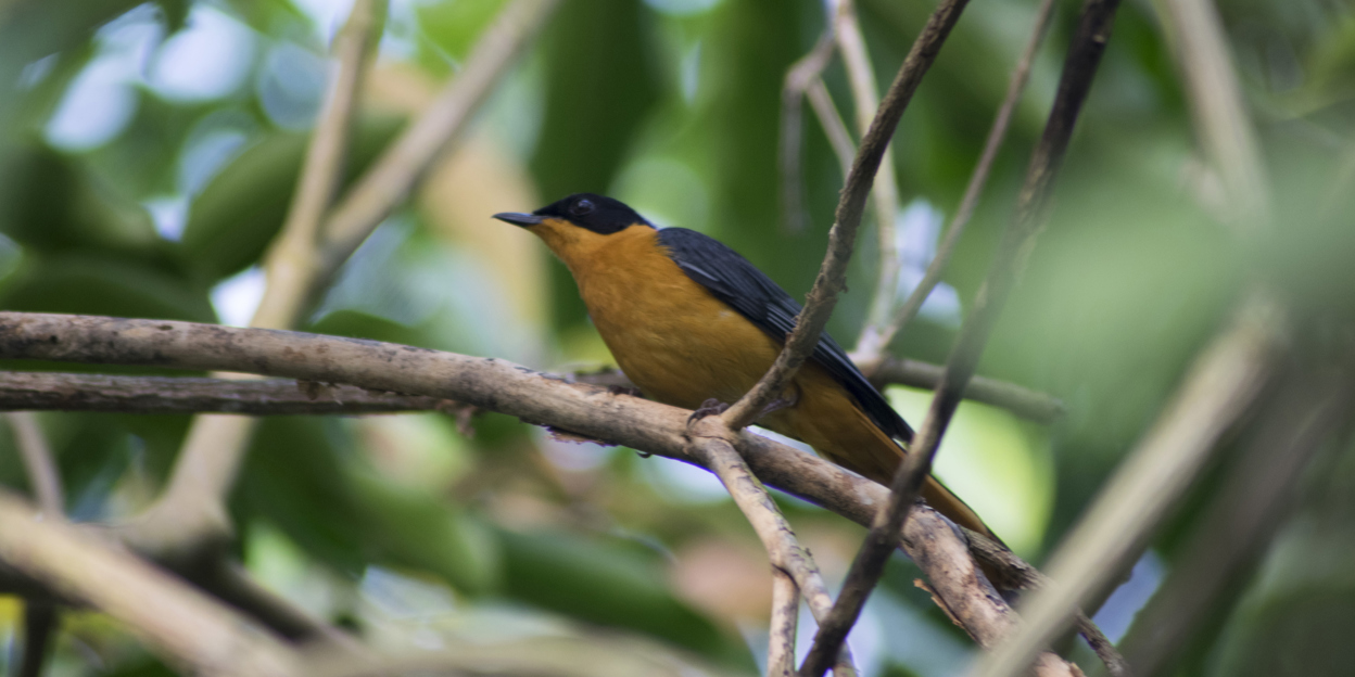 Duurzaamheid in de dierentuin