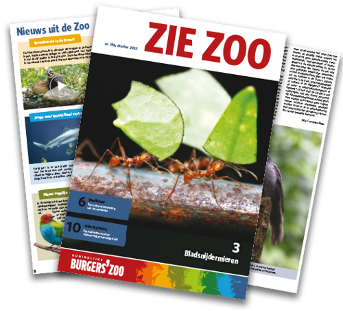 Ziezoo-oktober-2022