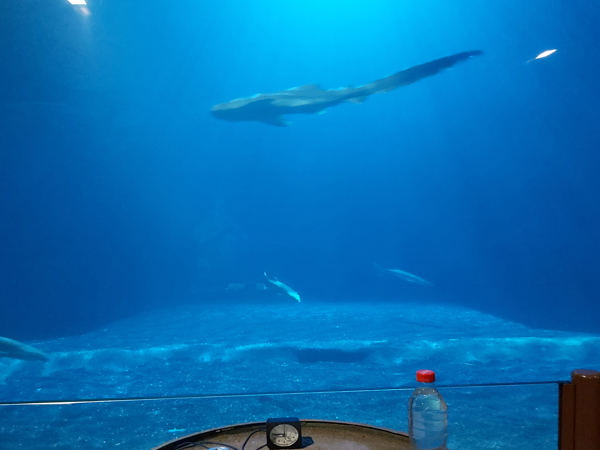 8fcecc88-4a84-46b4-8c02-a4bdd2032901