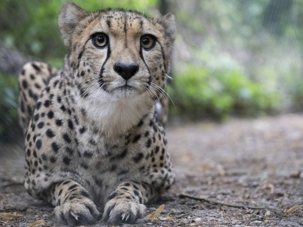 79d5ad62-9285-4758-8f15-162026c1a908