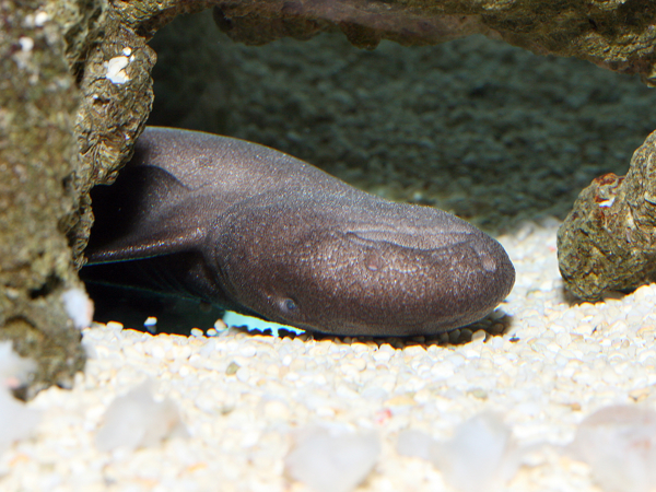 1649929f-9e64-488c-b795-8457f42a73eb