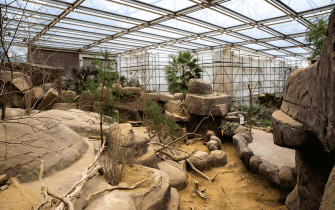 Desert-blog 1: de kop is eraf!