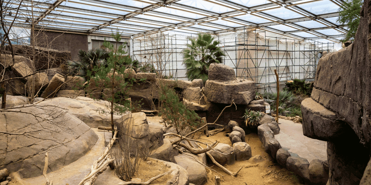 Desert-blog 1: de kop is eraf!