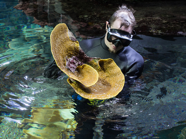 Succesvolle kweekvijver