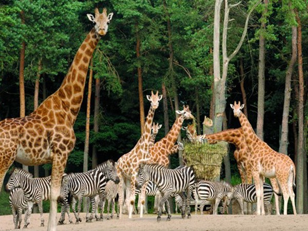 ca79d290-fa74-40dc-8288-bde29e2bd51e