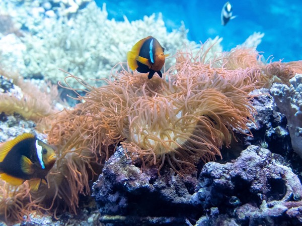 c24a7655-e059-49af-af30-f0bdbd71ecd9