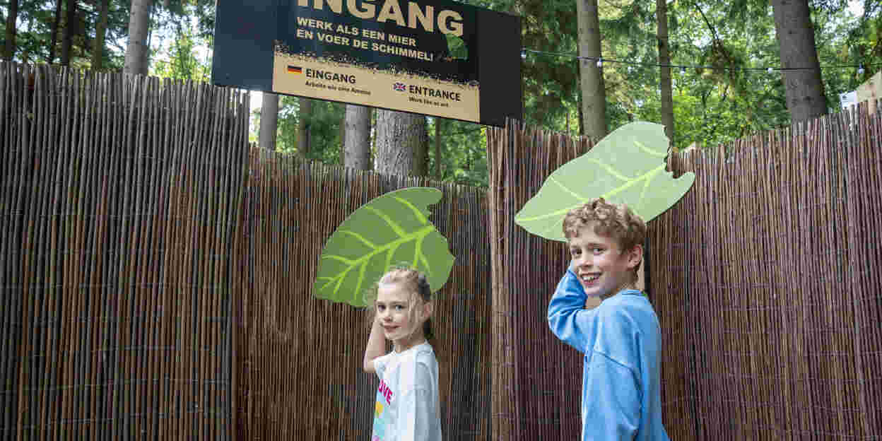 Burgers' Zoo traint kinderen als bladsnijdermieren 