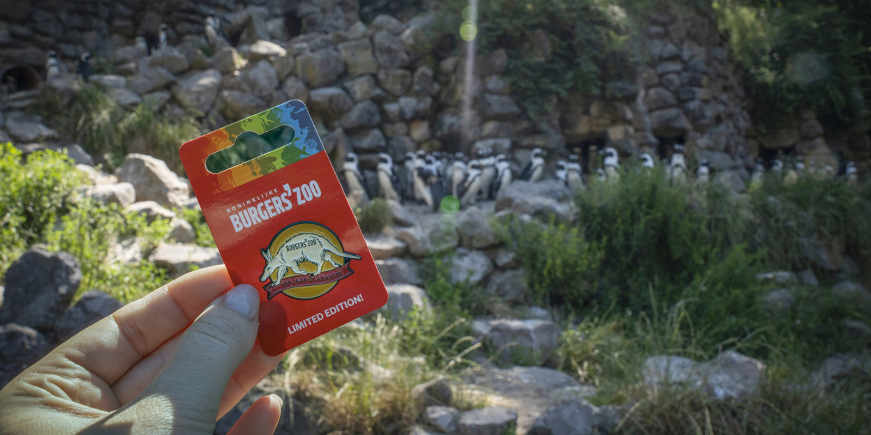 Aardvarken inspireert jubileumspeldje Burgers' Zoo