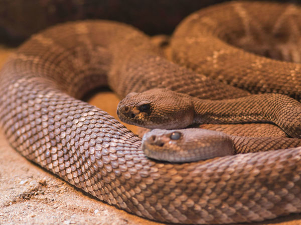 7fa0f9ec-8ace-466e-9684-fe45acb67e10