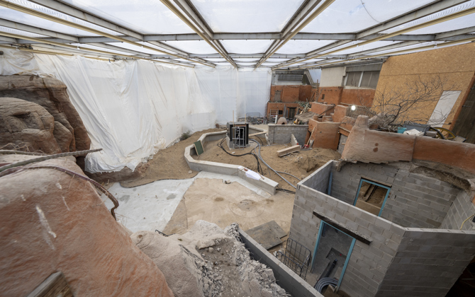 Desert-update 3: padden in de huiskamer?