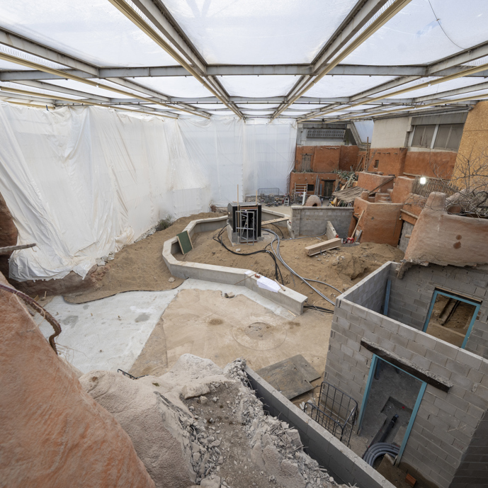 Desert-update 3: padden in de huiskamer?