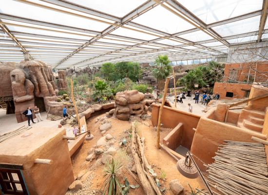 Vernieuwde Desert