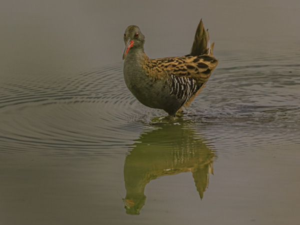 3f1f785a-b174-4efc-b5d3-7ef083a5090c