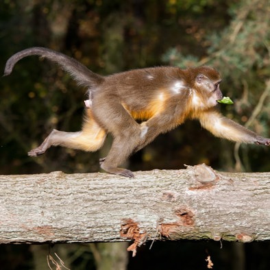  Bedreiging en bescherming 