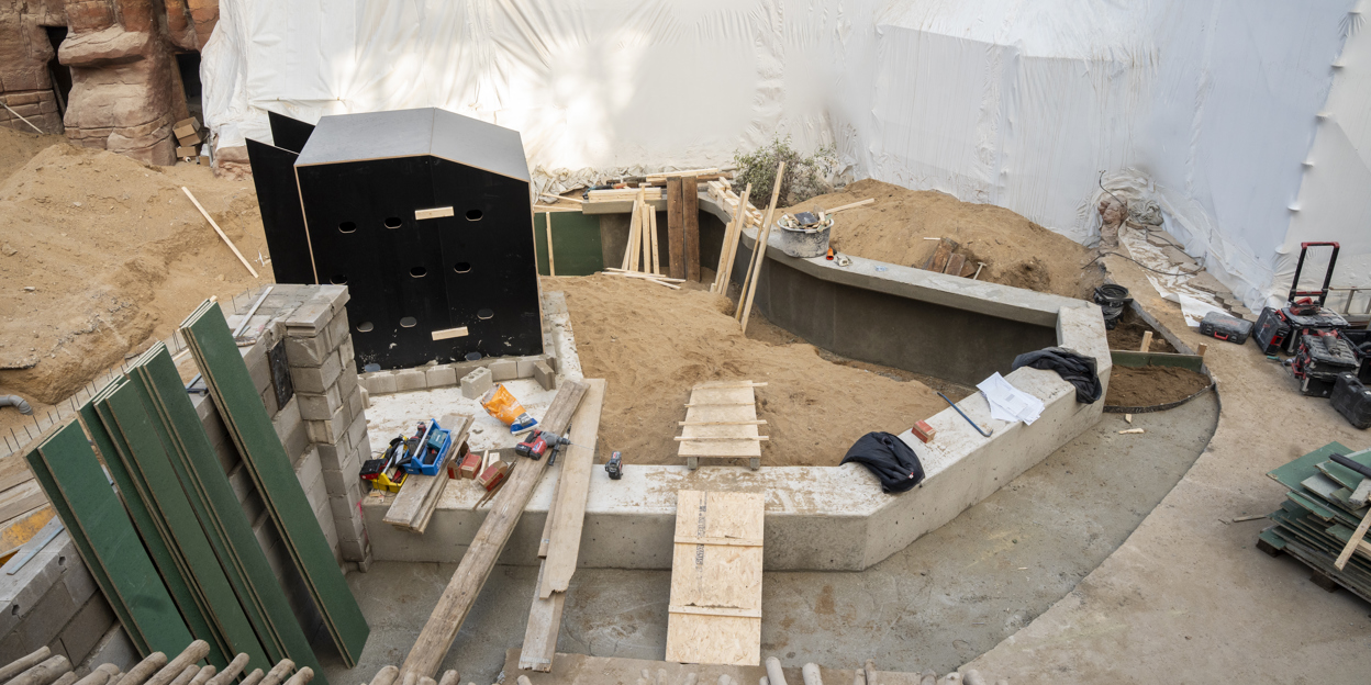 Desert-update 2: de eerste contouren worden zichtbaar