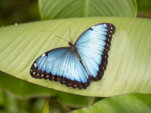 aca0ff6b-0cb3-4d3e-8536-230404220823