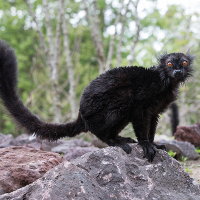 Bedreiging en bescherming