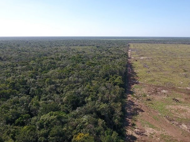 Een bedreigd ecosysteem