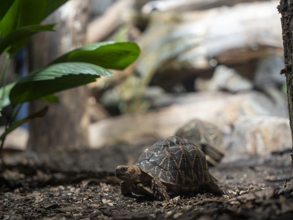 31a4d5b6-ba75-405f-a8c5-f7f12eaa1440