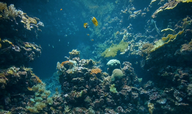 Burgers’ Ocean