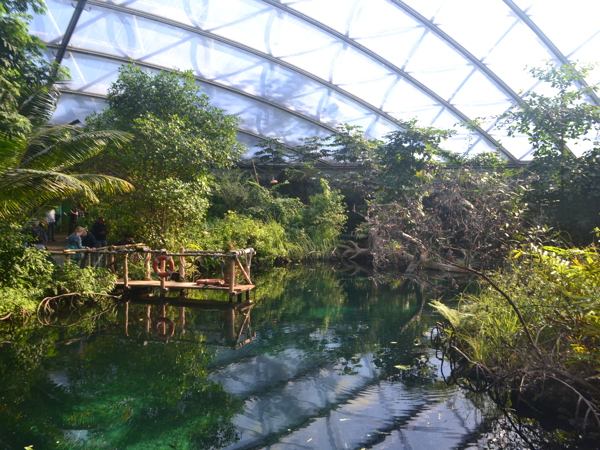 3f4532a2-8b96-4c68-b72e-3445927da738