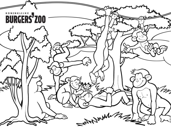 afefd329-222b-4311-84b4-1a80b4bf17db