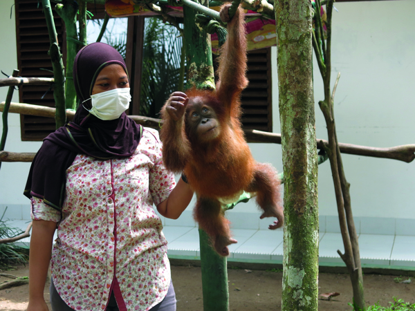 4c28e90a-c3a0-40ea-b222-21ae56cccca4