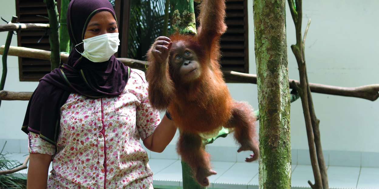 Nieuws over projecten in het veld