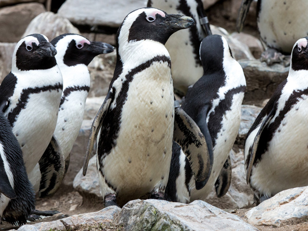 Voortgezet onderwijs