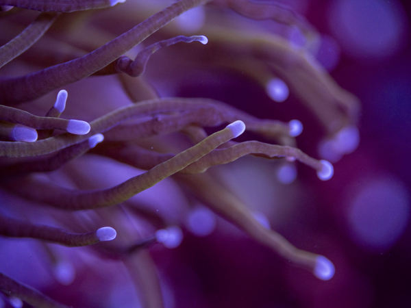 eaa9d5ea-ff02-4d5e-ace5-7dd14686b7fa