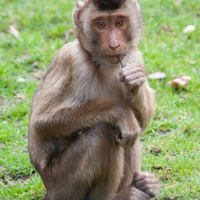 Bedreiging en bescherming