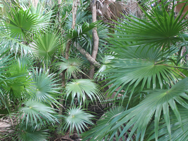 5665b781-66e7-42ff-9d3f-9367897c257a